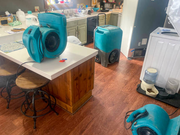  Renton, WA Water damage restoration Pros