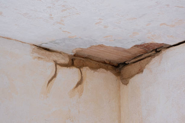 Best Flood damage cleanup  in Renton, WA