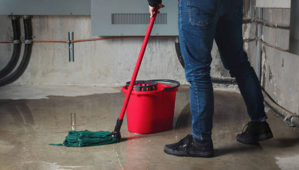 Best Water damage contractors near me  in Renton, WA