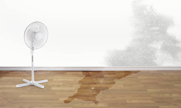 Best Commercial water damage restoration  in Renton, WA