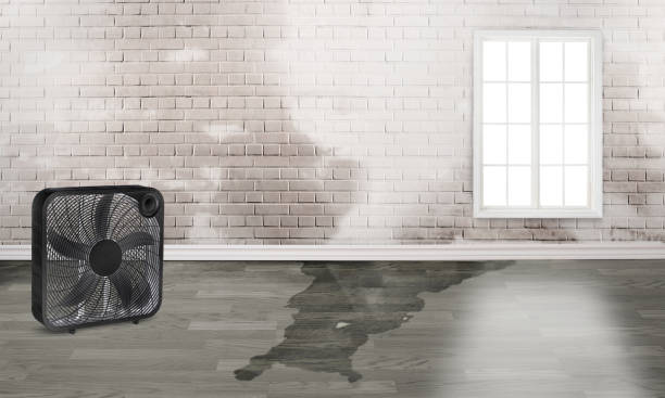 Renton, WA Water damage restoration Company
