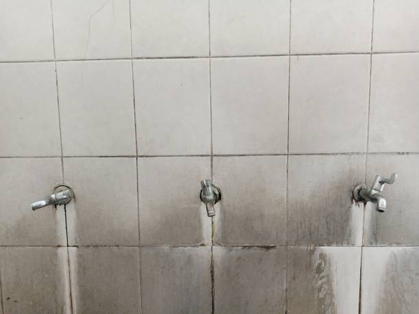 Best Professional water damage repair  in Renton, WA