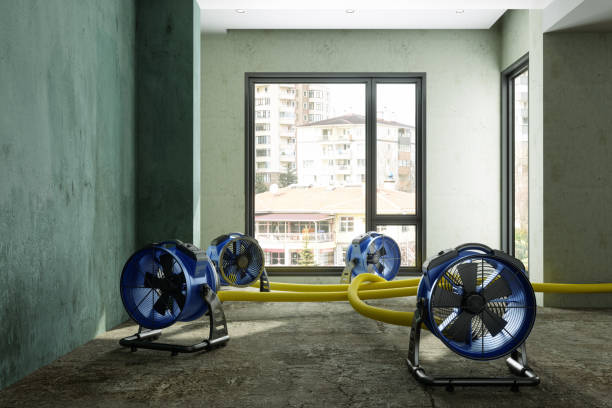 Local water damage restoration in Renton, WA